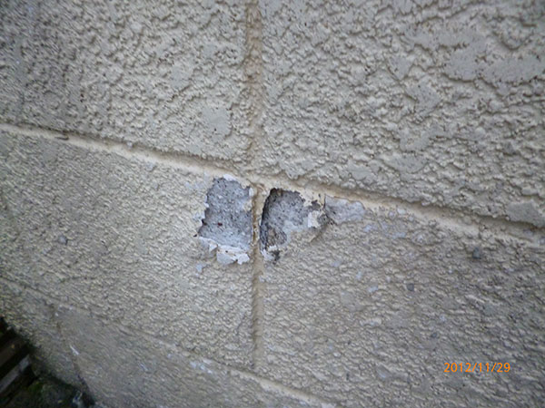 ブロック塀の塗膜剥離