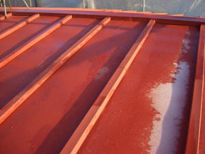 屋根の塗膜剥離
