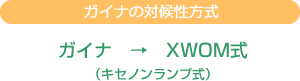 ガイナの対候性方式:XWOM式(キセノンランプ式)