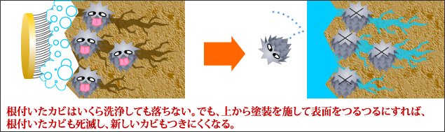 根付いたカビはいくら洗浄しても落ちない。でも、上から塗装を施して表面をつるつるにすれば、根付いたカビも死滅し、新しいカビもつきにくくなる。