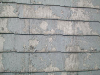 前回の塗装のシーラー不足および水洗い不足が原因のコロニアル屋根の塗装はがれ