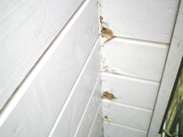 外壁下見板の腐食